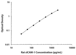 R D Systems Rat ICAM-1/CD54 Quantikine ELISA Kit 1 x 96-well Plate | Buy Online | R&amp;D Systems&trade; | Fisher Scientific