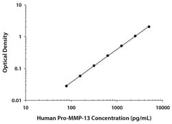 R D Systems Human Pro-MMP-13 Quantikine ELISA Kit 1 Plate | Buy Online | R&amp;D Systems&trade; | Fisher Scientific