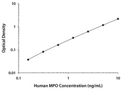 R D Systems Human Myeloperoxidase Quantikine ELISA Kit 1 x 96-well Plate | Buy Online | R&amp;D Systems&trade; | Fisher Scientific