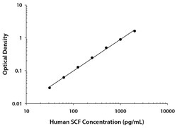 R D Systems Human SCF Quantikine ELISA Kit 1 x 96-well Plate | Buy Online | R&amp;D Systems&trade; | Fisher Scientific