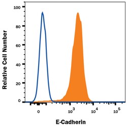 Human E-Cadherin Alexa Fluor 647-conjugated Antibody, R D Systems 25 Tests;