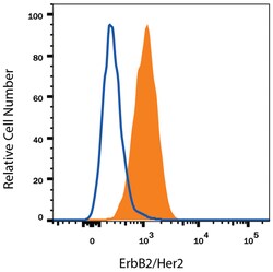 Human ErbB2/Her2 Alexa Fluor 594-conjugated Antibody, R D Systems 25 Tests;