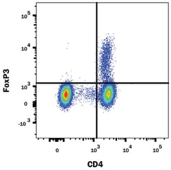 Human/Mouse/Rat FoxP3 PE-conjugated Antibody, R D Systems:Antibodies:Primary