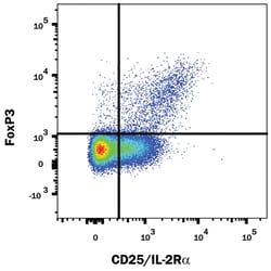 Human/Mouse/Rat FoxP3 PE-conjugated Antibody, R D Systems:Antibodies:Primary