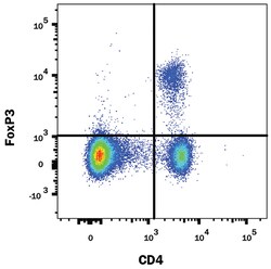 Human/Mouse/Rat FoxP3 PE-conjugated Antibody, R D Systems:Antibodies:Primary