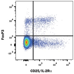 Human/Mouse/Rat FoxP3 PE-conjugated Antibody, R D Systems:Antibodies:Primary