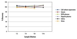 R D Systems Human Galectin-3BP/MAC-2BP Quantikine ELISA Kit 1 Kit | Buy Online | R&amp;D Systems&trade; | Fisher Scientific