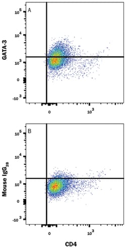 Human GATA-3 Alexa Fluor 594-conjugated Antibody, R D Systems 25 Tests;