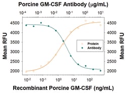 Porcine GM-CSF Antibody, R D Systems:Antibodies:Primary Antibodies