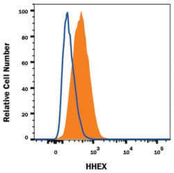 Human/Mouse/Rat HHEX Antibody, R D Systems 25&mu;g; Unlabeled:Antibodies,