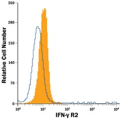 Human IFN-gamma R2 Fluorescein-conjugated Antibody, R D Systems 100 Tests;