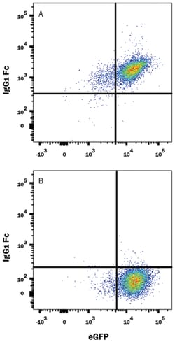 Human IgG Fc PE-conjugated Antibody, R D Systems 25 Tests | Buy Online | R&D Systems | Fisher Scientific