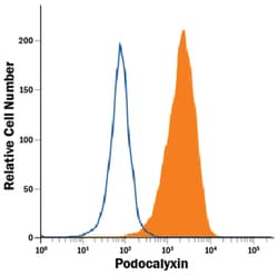 Mouse IgG2A Alexa Fluor 488-conjugated Antibody, R D Systems 200 Tests | Buy Online | R&D Systems | Fisher Scientific