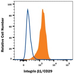 Rat IgG2A Isotype Control, R&D Systems&trade;