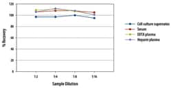 R&amp;D Systems&trade;&nbsp;Porcine IL-12/IL-23 p40 Quantikine ELISA Kit One 96-well plate 