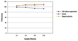 R&D Systems™ Mouse IL-23 Quantikine ELISA Kit