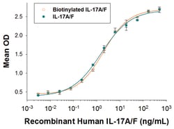 R&D Systems™ Recombinant Human IL-17A/F Heterodimer Biotin Protein