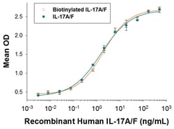 R&D Systems™ Recombinant Human IL-17A/F Heterodimer Biotinylated Protein