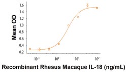 R D Systems Recombinant Rhesus Macaque IL-18/IL-1F4 Protein Supplied as a 0.2&mu;m filtered solution in MOPS, Na2SO4, EDTA and DTT. | Buy Online | R&amp;D Systems&trade; | Fisher Scientific