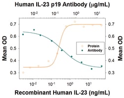 Human IL-23 p19 Antibody, R D Systems:Antibodies:Primary Antibodies