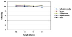 R D Systems Human C-Peptide Quantikine ELISA Kit 1 x 96-well Plate | Buy Online | R&amp;D Systems&trade; | Fisher Scientific