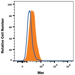 Mouse Mer Antibody, R D Systems:Antibodies:Primary Antibodies