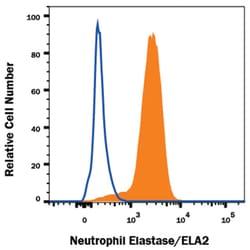 Human Neutrophil Elastase/ELA2 Antibody, R D Systems 100&mu;g; Unlabeled:Antibodies,