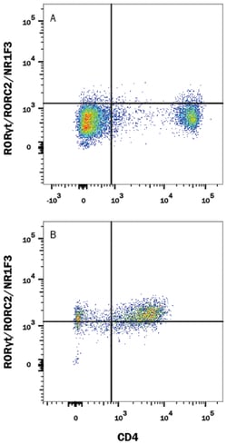 Human/Mouse ROR gamma t/RORC2/NR1F3 Alexa Fluor 488-conjugated Antibody,