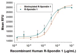 R D Systems Recombinant Human R-Spondin 1 Biotinylated Protein 25&mu;g; Biotin | Buy Online | R&amp;D Systems&trade; | Fisher Scientific