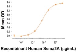 R D Systems Recombinant Human Semaphorin 3A Fc Chimera Protein 25 &mu;g | Buy Online | R&amp;D Systems&trade; | Fisher Scientific