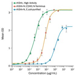 R D Systems Recombinant Human Sonic Hedgehog Protein, High Activity 5&mu;g | Buy Online | R&amp;D Systems&trade; | Fisher Scientific