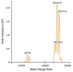 R D Systems Recombinant Human Sonic Hedgehog Protein, High Activity 5&mu;g | Buy Online | R&amp;D Systems&trade; | Fisher Scientific