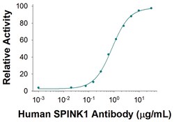 Human SPINK1 Antibody, R D Systems 100&mu;g; Unlabeled:Antibodies, Monoclonal