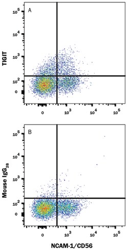 Human TIGIT PerCP-conjugated Antibody, R D Systems 25 Tests; PerCP:Antibodies,