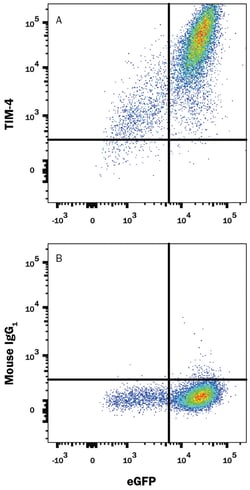 Human TIM-4 PE-conjugated Antibody, R D Systems 25 Tests; PE:Antibodies,