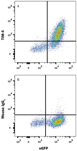 Human TIM-4 Alexa Fluor 594-conjugated Antibody, R D Systems 25 Tests;