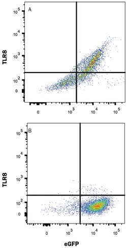 Human TLR8 Alexa Fluor 594-conjugated Antibody, R D Systems 25 Tests; Alexa