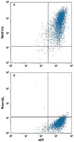 Human TM4SF1/L6 PE-conjugated Antibody, R D Systems 100 Tests; PE:Antibodies,