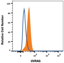Human UVRAG Antibody, R D Systems:Antibodies:Primary Antibodies