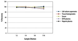 R&D Systems™ Mouse VEGFR2/Flk-1 Quantikine ELISA Kit