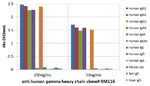 MilliporeSigma™ Rabbit anti-Human IgG heavy chain, Clone: RM116, Secondary Antibody,
