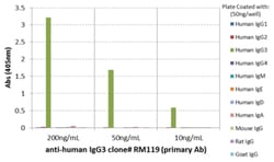 MilliporeSigma™ Rabbit anti-Human IgG3, Clone: RM119, Secondary Antibody,