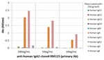 MilliporeSigma™ Rabbit anti-Human IgA2, Clone: RM125, Secondary Antibody,