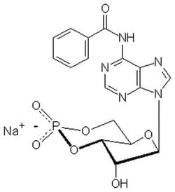 MilliporeSigma&trade;&nbsp;Calbiochem&trade; Adenosine 3',5'-cyclic Monophosphate, N<sup>6</sup>-Benzoyl-, Sodium Salt