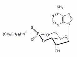 MilliporeSigma Calbiochem Adenosine 3',5'-cyclic Monophosphorothioate, Sp-Isomer, Triethylammonium Salt 10 &mu;mol | Buy Online | MilliporeSigma&trade; | Fisher Scientific