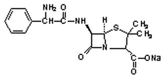 Ampicillin Sodium Salt Solubility