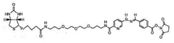 MilliporeSigma™ Calbiochem™ Innolink™ Biotin 354S