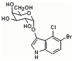 MilliporeSigma™ Calbiochem™ 5-Bromo-4-chloro-3-indolyl-α-D-galactopyranoside
