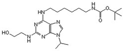 MilliporeSigma&trade;&nbsp;Calbiochem&trade; CaMKII Inhibitor, CK59