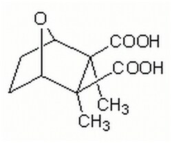 MilliporeSigma Calbiochem Cantharidic Acid 10 mg | Buy Online | MilliporeSigma&trade; | Fisher Scientific